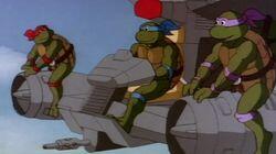 Sky Turtles Sky Turtles