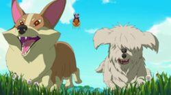 Beyond the Valley of the Dogs Beyond the Valley of the Dogs