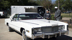 Matt Judon's Eldorado Rescue Matt Judon's Eldorado Rescue