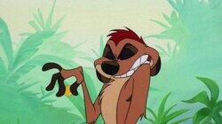 Luck Be a Meerkat Luck Be a Meerkat