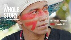 The Wired Amazon The Wired Amazon