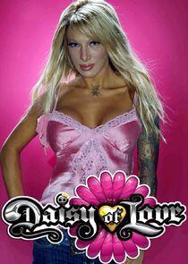 Daisy of Love Daisy of Love