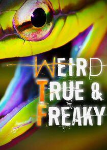 Weird, True & Freaky Weird, True & Freaky