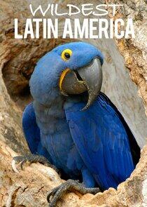 Wildest Latin America Wildest Latin America