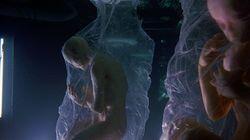 The Reptilian Agenda The Reptilian Agenda