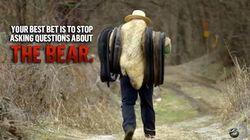 The Bear The Bear