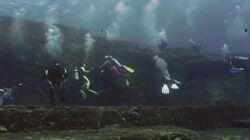 Mega Structures of the Deep