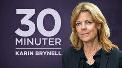 Karin Brynell, vd för Svensk dagligvaruhandel Karin Brynell, vd för Svensk dagligvaruhandel