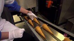 All You Cone Eat All You Cone Eat