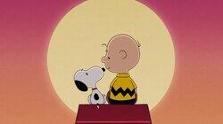 Dear Snoopy Dear Snoopy