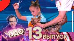 Выпуск №13 Выпуск №13