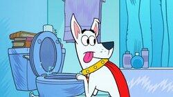 Toilet Water Toilet Water