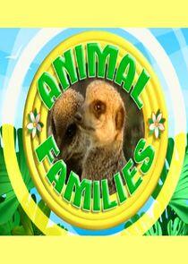 Animal Families Animal Families
