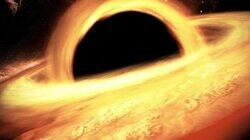 How Black Holes Made Us How Black Holes Made Us
