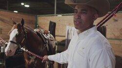 The Right Horse The Right Horse