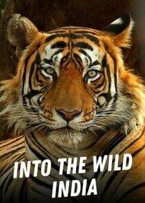 Into the Wild India Into the Wild India