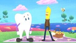 The Tooth Pirate The Tooth Pirate