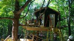 Treehouse Cabin Treehouse Cabin