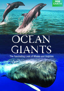 Ocean Giants Ocean Giants