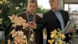 Blum - 07 - Der Name der Orchidee Blum - 07 - Der Name der Orchidee