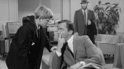 The Finny Foot Affair The Finny Foot Affair
