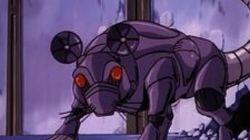 The Wolfrat The Wolfrat