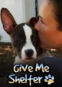 Give Me Shelter Give Me Shelter