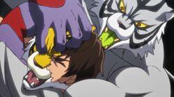 Four Tigers Four Tigers