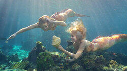 The Siren The Siren