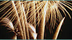 Fireworks! Fireworks!