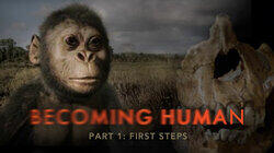 Becoming Human Part 1: First Steps Becoming Human Part 1: First Steps