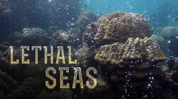 Lethal Seas Lethal Seas