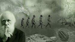 What Darwin Never Knew What Darwin Never Knew