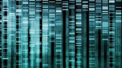 Cracking Your Genetic Code Cracking Your Genetic Code
