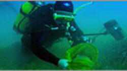 Deep Sea Invasion Deep Sea Invasion