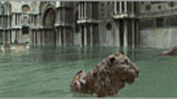Sinking City of Venice Sinking City of Venice