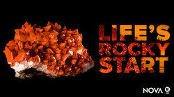 Life's Rocky Start Life's Rocky Start