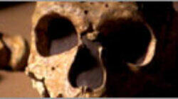 Neanderthals on Trial Neanderthals on Trial