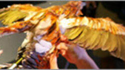 The Four-Winged Dinosaur The Four-Winged Dinosaur