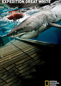 Expedition Great White Expedition Great White