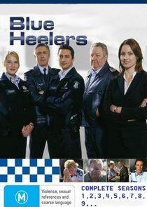 Blue Heelers Blue Heelers