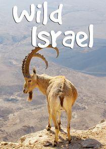 Wild Israel Wild Israel