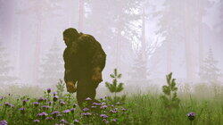 The Bigfoot Files The Bigfoot Files