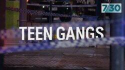 Teen Gangs Teen Gangs