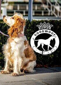 Goodwoof - Season 1 / Year 2022 Goodwoof - Season 1 / Year 2022