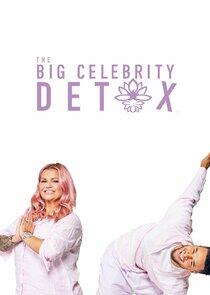 The Big Celebrity Detox The Big Celebrity Detox