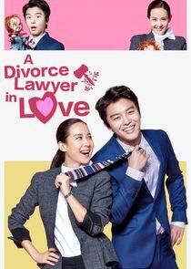 A Divorce Lawyer in Love A Divorce Lawyer in Love