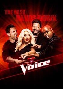 The Voice - Season 3