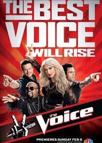 The Voice - Season 2