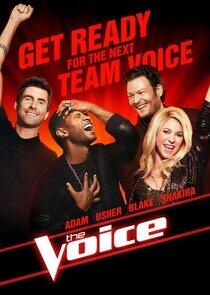 The Voice - Season 4